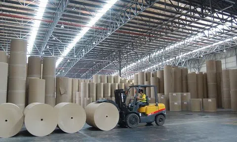 Ngân hàng định giá ra sao mà khoản nợ 389 tỷ đồng của nhà máy giấy BBP sau 20 lần rao bán giảm giá còn 63 tỷ?