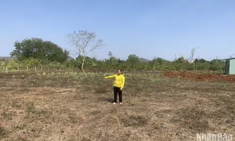 Có hay không việc cán bộ xã dẫn người đến hành hung người dân do mâu thuẫn đất đai?