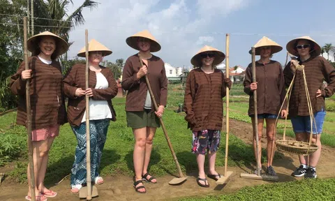 “Hái ra tiền” từ du lịch canh nông