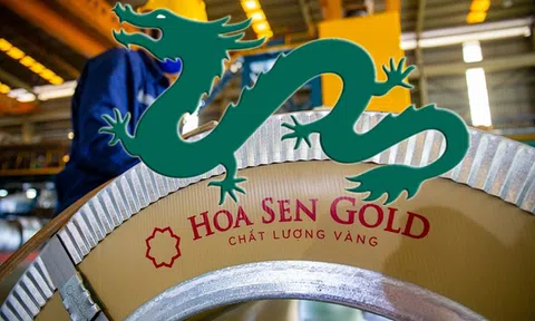 Dragon Capital trở lại Hoa Sen chỉ sau 3 tuần “rời ghế” cổ đông lớn