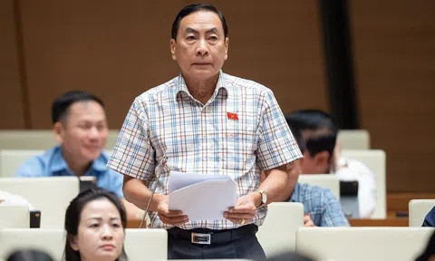 Đại biểu quốc hội: Nhiều người nước ngoài núp bóng, thu mua nhiều đất đai