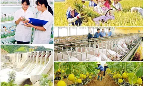 Thúc đẩy tiến độ giải ngân vốn thực hiện các chương trình mục tiêu quốc gia