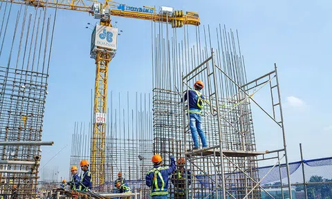 Xây dựng Hòa Bình bán 100% vốn tại Matec, chỉ giữ lại công ty kinh doanh hiệu quả để IPO, tham vọng trở lại vị thế số 1 ngành xây dựng