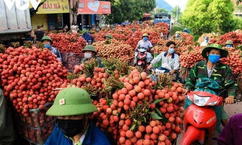 Bất ngờ “thủ phủ vải thiều” Bắc Giang tăng trưởng kinh tế 10,94%, đứng thứ 2 cả nước