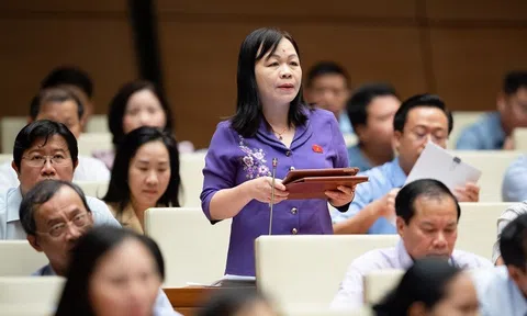 Đại biểu quốc hội lo quy định gây khó cho các chủ đầu tư dự án bất động sản du lịch