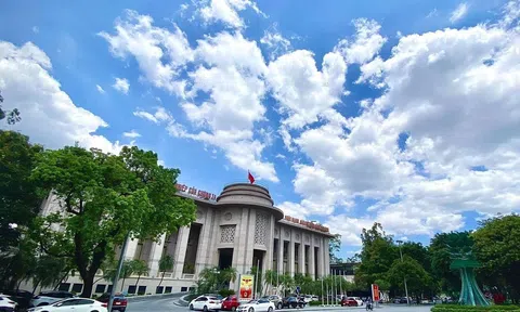 Việt Nam không nằm trong danh sách giám sát thao túng tiền tệ của Mỹ