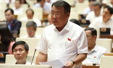Thủ tướng tháo gỡ khó khăn, vướng mắc cho 13 dự án chuyển mục đích sử dụng rừng năm 2023