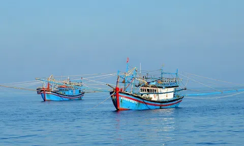 Ngăn chặn khai thác hải sản bất hợp pháp