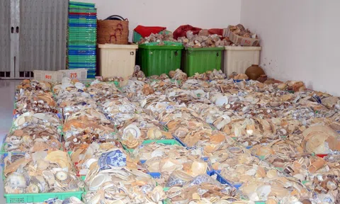 Xử lý thông tin báo nêu "Hơn 65.000 cổ vật chất đống trong kho"