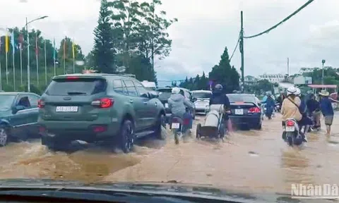 Khẩn trương triển khai các biện pháp hạn chế tình trạng ngập cục bộ tại Đà Lạt