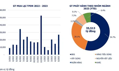 Trái phiếu doanh nghiệp phát hành riêng lẻ “tái xuất”
