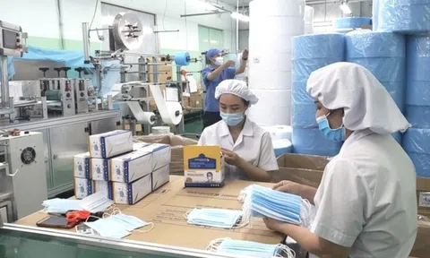 Ngành dược “lên đời”, vì sao cổ phiếu DNM sẽ bị hủy niêm yết bắt buộc?
