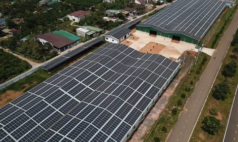 Lâm Đồng chỉ đạo xử lý các dự án điện mặt trời “ký sinh” trong khu công nghiệp