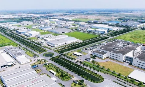 Vingroup, Hòa Phát, Phát Đạt,…muốn đầu tư các dự án khu công nghiệp quy mô lớn