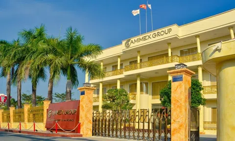 CMX sắp phát hành thêm 300 tỷ đồng trái phiếu