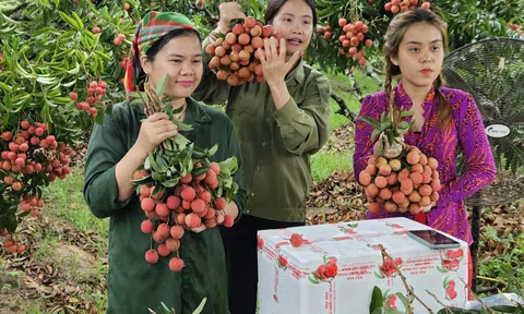 Có “đơn khủng” nhưng các gian hàng trực tuyến vẫn lo ngại điều gì?