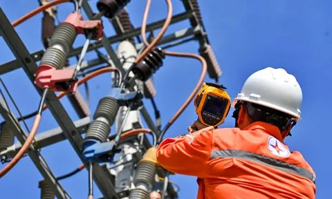 Nóng: Công bố kết luận thanh tra cung ứng điện của Tập đoàn Điện lực Việt Nam