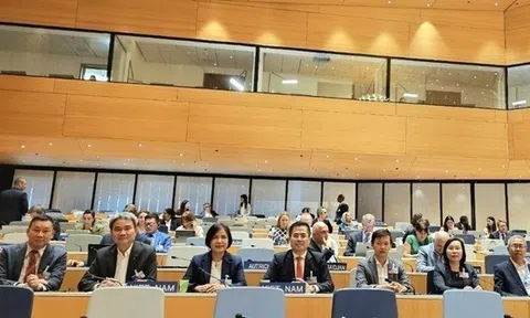Việt Nam hợp tác với WIPO phát triển hệ sinh thái sở hữu trí tuệ