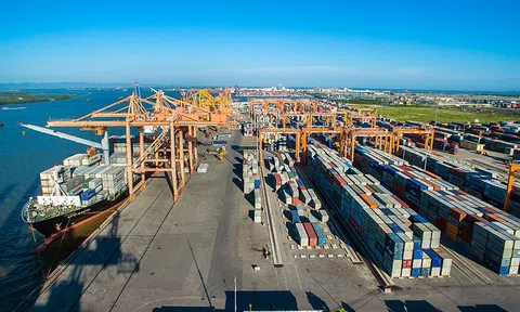 Lập báo cáo nghiên cứu khả thi dự án Bến cảng Trần Đề