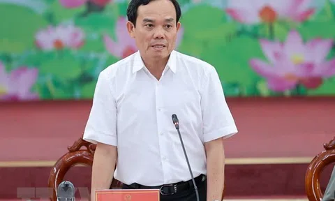 Kiện toàn thành viên của Ủy ban Quốc gia về Chuyển đổi Số
