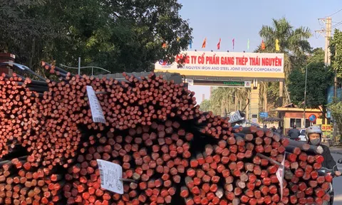 Hơn 6.400 tỷ “chôn” tại dự án “đắp chiếu” nhiều năm, Tisco cay đắng báo lỗ quý thứ 4 liên tiếp