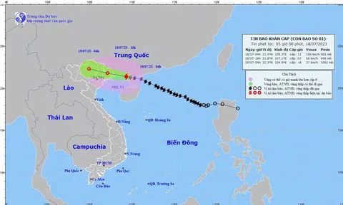 Bão số 1 cách Móng Cái 140km, gió giật cấp 14