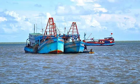 Chìm 2 tàu cá, hơn 30 nhà dân Cà Mau bị hư hỏng