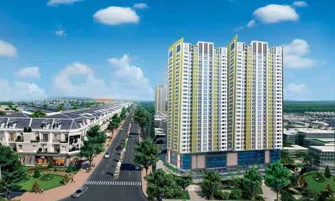 Geleximco: Lợi nhuận giảm 88% năm 2022, tổng tài sản đạt gần 28.000 tỷ