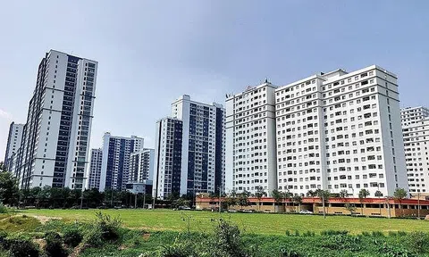 Hà Nội xử nghiêm việc sử dụng nhà, đất công để cho thuê, mượn trái quy định