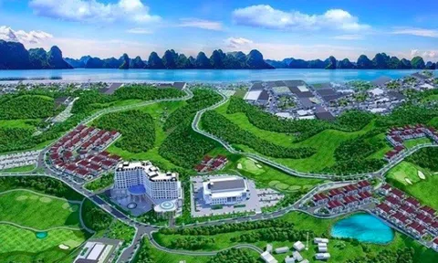 Thủ tướng đồng ý cho Vingroup tăng vốn dự án đảo Vũ Yên lên 3 lần