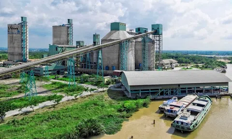 Sau quý kinh doanh tồi tệ nhất lịch sử, công ty xi măng lớn nhất miền Nam đã “vui” trở lại