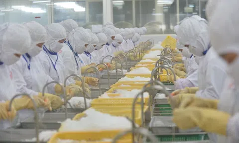 Doanh nghiệp thủy sản “ngóng” phản hồi về bảo hiểm xã hội và PCCC