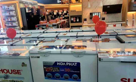 Từng muốn "chia bánh" tỷ USD trong thị trường điện gia dụng, tình hình kinh doanh của Hòa Phát hiện ra sao?