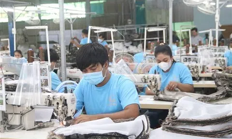 100.000 doanh nghiệp ngừng hoạt động trong 6 tháng đầu năm 2023