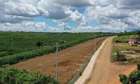 Một địa phương tại Lâm Đồng bất ngờ thu hồi văn bản tạm dừng chuyển mục đích sử dụng đất