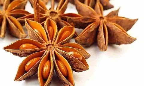 Bộ Nông nghiệp kiến nghị tạm giữ lô hàng hoa hồi tại cảng của UAE