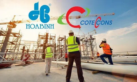 Coteccons và Hòa Bình báo lãi trở lại