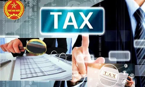 Kiên quyết dừng hoàn thuế đối với doanh nghiệp có hành vi cố tình vi phạm sử dụng hóa đơn điện tử