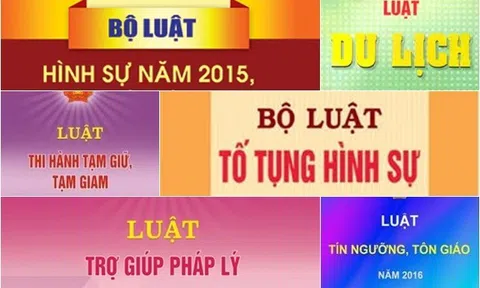 Rà soát, đề xuất sửa đổi, bổ sung các quy định bất cập, những vấn đề vướng mắc trong các luật hiện hành