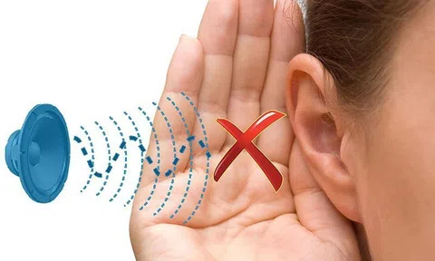 Viêm màng não do liên cầu khuẩn lợn