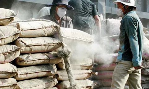 Thủ tướng có chỉ đạo các Bộ và đơn vị liên quan xử lí kiến nghị của 8 hội, hiệp hội