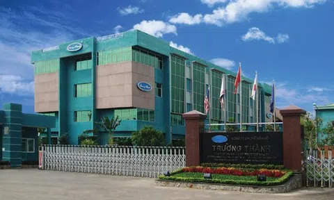 Ngành gỗ vẫn chưa hết khó, TTF lỗ trở lại