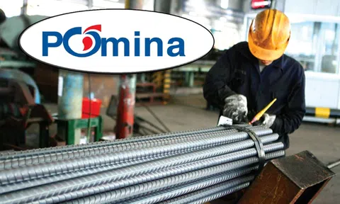 Lãnh đạo Thép Pomina giải trình về cổ phiếu bị cảnh báo và kiểm soát