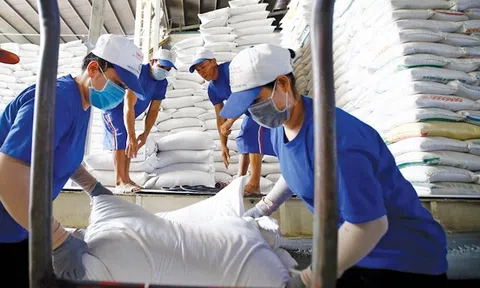 Bất ổn thị trường lúa gạo thế giới liệu có ảnh hưởng đến Việt Nam?