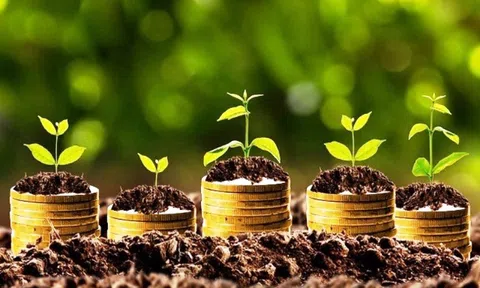 33 doanh nghiệp chốt trả cổ tức, tuần từ ngày 7 đến 11/8
