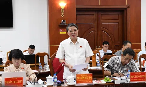 UBND tỉnh Cà Mau đề nghị ban hành giá mua điện chính thức cho các dự án điện gió, điện mặt trời