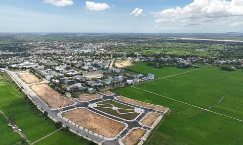 UBND thị xã Điện Bàn giao các phòng, ban xem xét đề nghị của người dân vụ hủy kết quả 70 lô đất