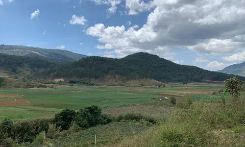 Lâm Đồng: Đề xuất thu hồi loạt dự án được gia hạn tiến độ nhưng chưa thực hiện nghĩa vụ tài chính