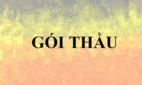 Trường hợp nào không cần hình thành gói thầu?