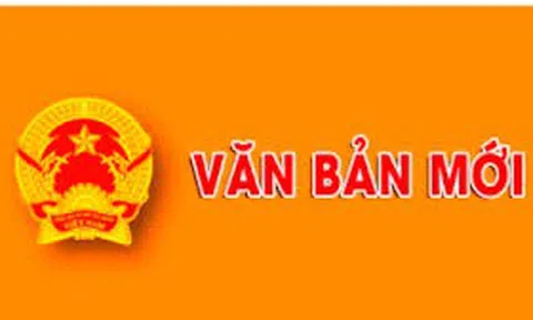 Một số điểm mới của Luật Bảo vệ quyền lợi người tiêu dùng